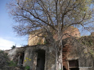 Villa Calanna